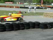 81.JPG