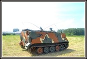 31.JPG